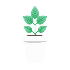 Green plant in a white pot illustration isolated
