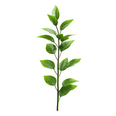 Green plant sprig on black background simple nature plant life