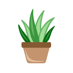 Green Succulent Plant in Pot on Black Background