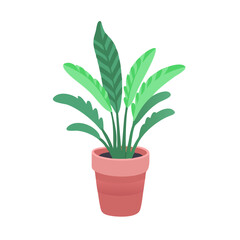 Elegant Potted Calathea Plant Illustration on Black Background