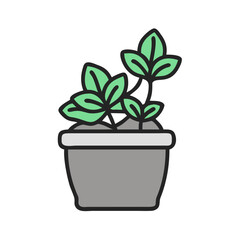 Potted Plant with Green Leaves on Black Background