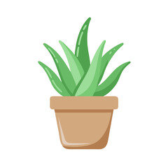Aloe Vera Plant in Pot Vector Illustration