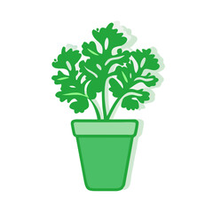 Parsley plant in pot vector art illustration design
