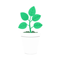Potted Plant Icon Illustration on Black Background