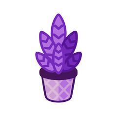 Cute purple succulent plant in a decorated pot