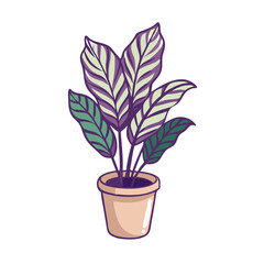 Cartoon Calathea Plant in Pot, Purple and Green