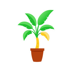 Banana plant cartoon in pot on black background