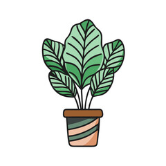 Cartoon Calathea Plant Illustration in Pot on Black