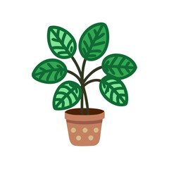 Cartoon Potted Prayer Plant Illustration on Black Background