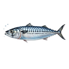Realistic Mackerel Fish Side View