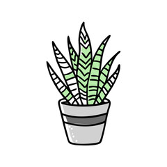 Cartoon Snake Plant Illustration in Pot on Black Background