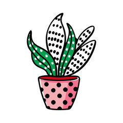 Cartoon polka-dotted houseplant in a pot on black