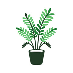 Simple Potted Green Fern Plant Isolated on Black