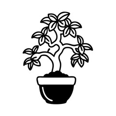 White box on black background, simple contrast image