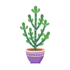 Cartoon cactus in a purple pot on black background