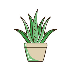 Aloe vera cartoon illustration in pot on black
