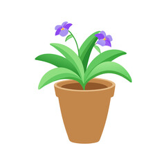 Fototapeta premium Cartoon Purple African Violet Flower in Pot Illustration