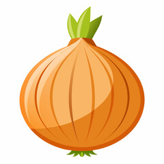 Onion isolated on white background 