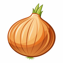 Onion isolated on white background 