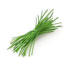 Fresh chives tightly bundled and ready to use.