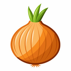 Onion isolated on white background 
