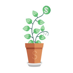 Obraz premium Money Plant in Pot: Financial Growth and Investment