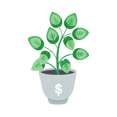 Money plant growing in pot, finance and investment