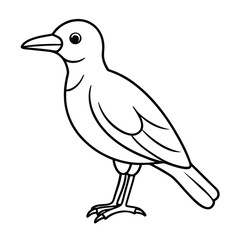 Fototapeta premium Vector illustration of Bird coloring page for kids, bird outline for baby's hand drawing.