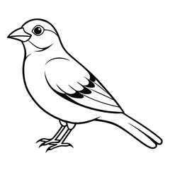 Fototapeta premium Hand drawn bird vector image, Cute Bird illustration for kids.