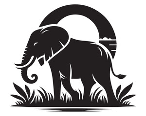 Fototapeta premium Elephant 9.eps