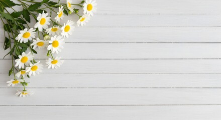 AI image displays a lovely bunch of fresh white daisy flowers arranged casually in the corner of a rustic white wood background.
