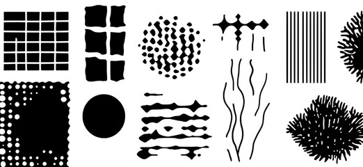 Obraz premium Artistic exploration of geometric shapes and organic patterns in black and white design