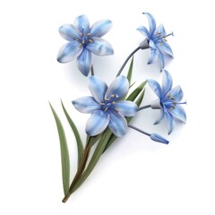 Delicate blue flowers on a stem, a spring bouquet.