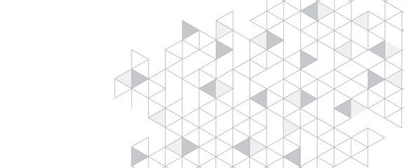 Vector modern line design cubes and triangles abstract background