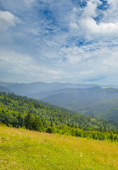 Naklejka premium Misty Carpathian mountain valley after the rain. Concept - vacation and travel.
