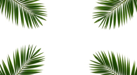 Obraz premium ai image featuring four vibrant green palm leaves symmetrically placed in the corners, creating a natural tropical frame on a clean white background.