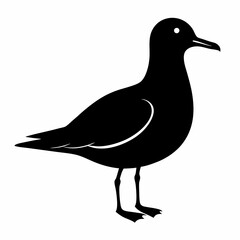 Minimalist Seagull Silhouette Vector