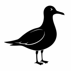 Minimalist Seagull Silhouette Vector