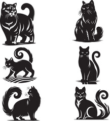 Cat vector silhouette on white background