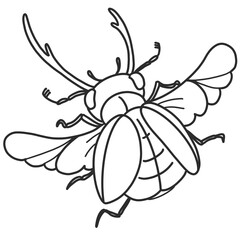 Fototapeta premium A hand-drawn beetle illustration in detailed black and white features its insect anatomy, including wings, legs, antenna, and exoskeleton, show beauty of nature wildlife in entomology and arthropods.