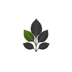 A striking contrast between black and green leaves showcasing the natural beauty and diversity of botanical elements