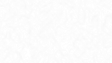 Fototapeta premium Topography white background and black line wireframe isoline location diagram world map texture design .
