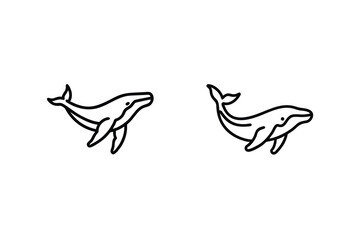 Two Humpback Whale Illustrations Minimalist Outline Style Marine Life Design Element