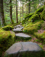 Fototapeta premium Tranquil forest path paved with stepping stones, surrounded by rocks blanketed in soft moss.