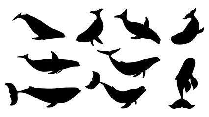 set of Blue whale silhouette vector on white background
