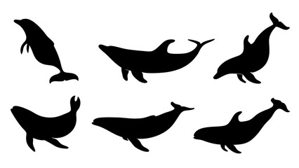 set of Blue whale silhouette vector on white background