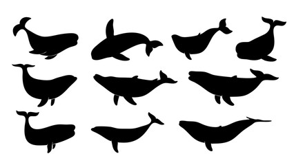set of Blue whale silhouette vector on white background