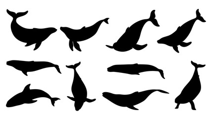 set of Blue whale silhouette vector on white background