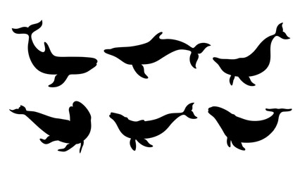set of Blue whale silhouette vector on white background