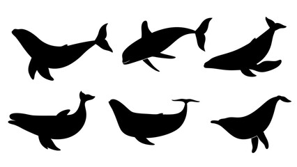 set of Blue whale silhouette vector on white background